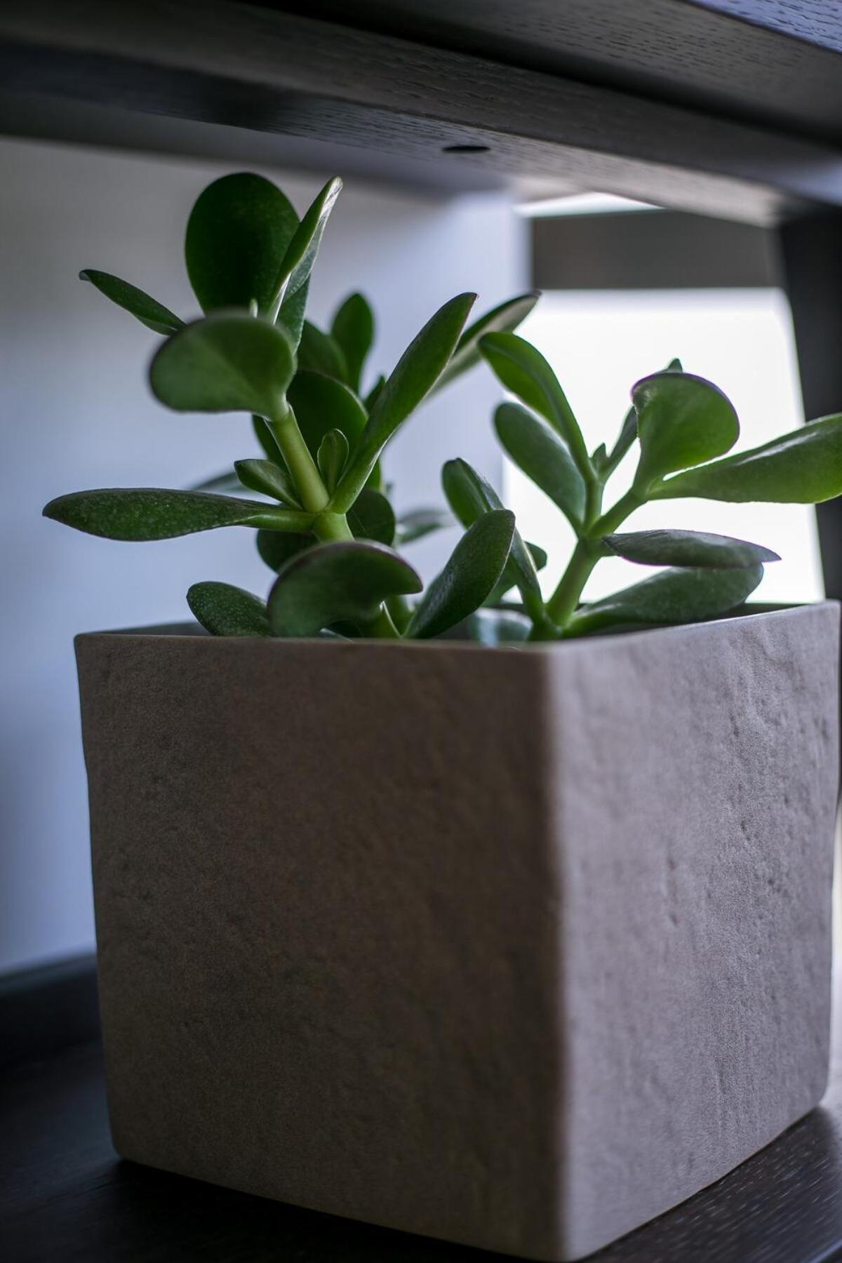 Appartement The Keep38 Rhodes City